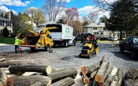 Best Sod Installation  in Gibraltar, MI