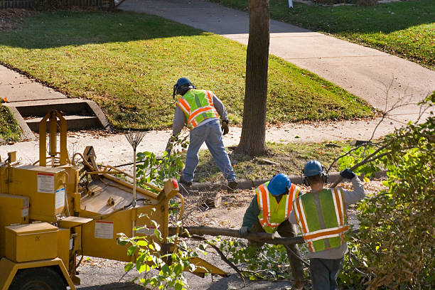 Mulching Services in Gibraltar, MI